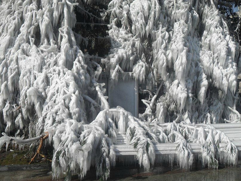 Анастасия Вергун | 