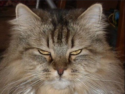 Николай Михайлович | Николаев