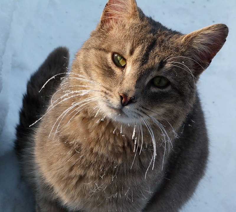 Sveta Zhivotvoreva | Ижевск