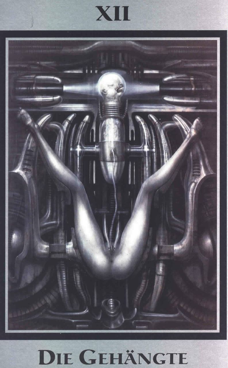 Екатерина Майн Meer-Himmel | Atlanta