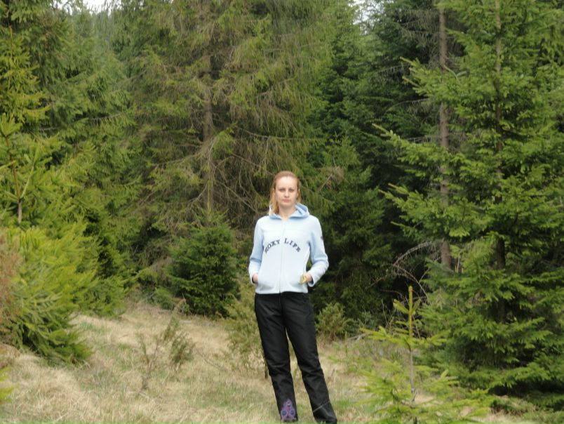 №134, Galiçka L, Львов №134, Galiçka L, Львов