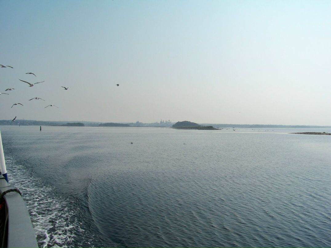 Дмитрий Цветков | Орёл