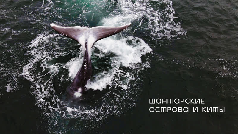 Шантарские Острова и