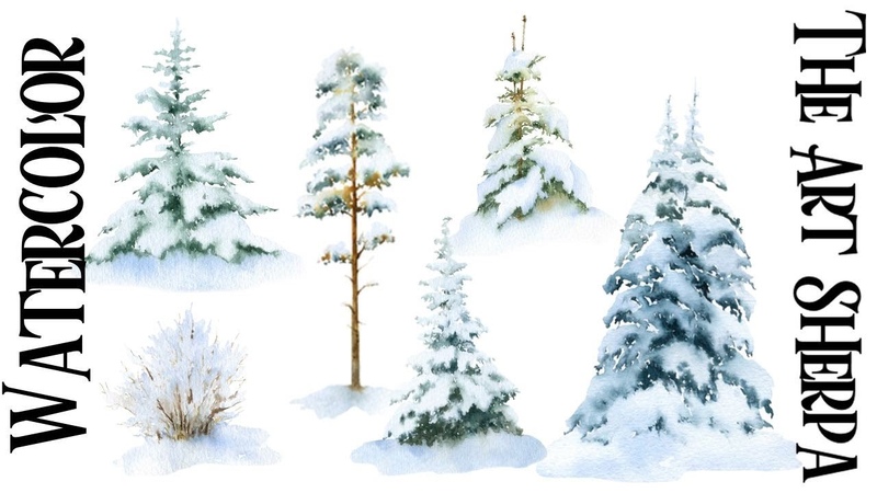 Snowy Pine Trees Study Easy How to Paint Watercolor Step by step, The Art