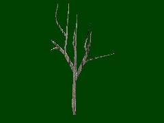 Dead Standing Tree 5 DES