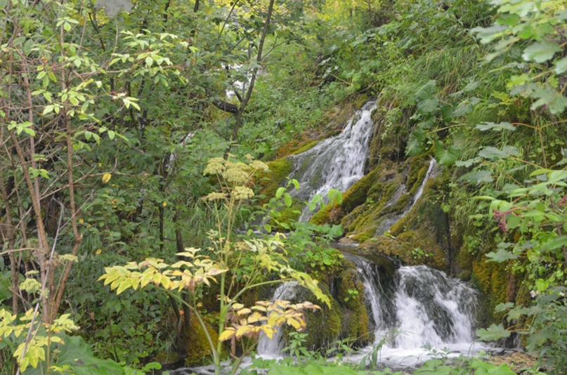 Олег Петренко | Одесса