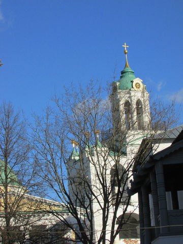 Татьяна Донская |