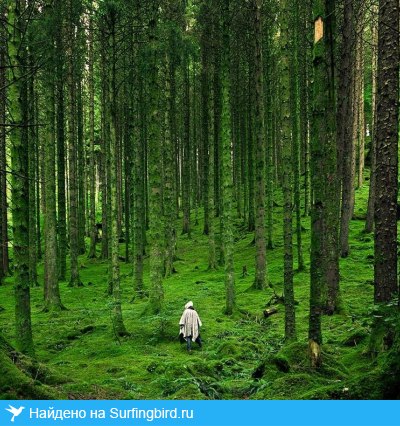 Мария Бурова | Волгоград