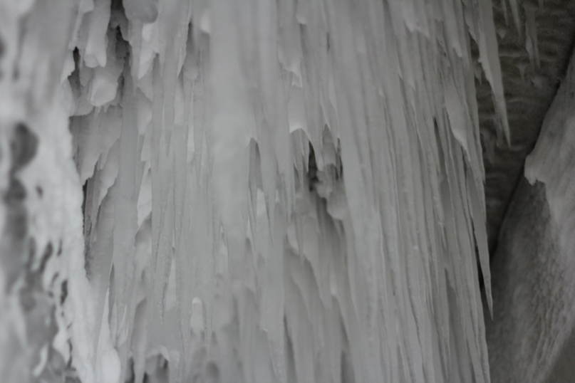 Тимофей Васильев | Новосибирск