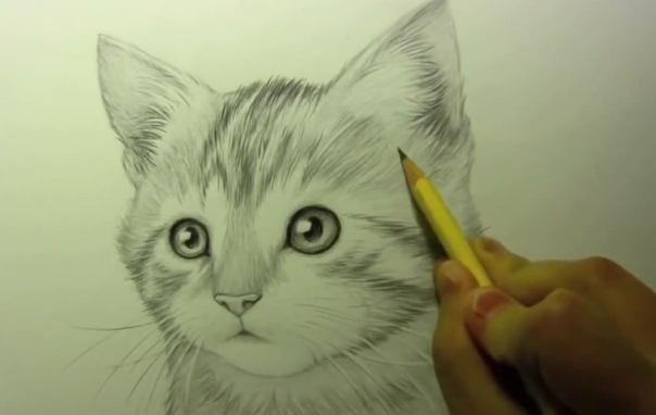 Как нарисовать рисунок видео. Котики для срисовки карандашом. Рисунки котиков для срисовки. Котёнок карандашом легко. Котенок рисунок реалистичный легко. Как нарисовать рисунок видео. Котики для срисовки карандашом. Рисунки котиков для срисовки. Котёнок карандашом легко. Котенок рисунок реалистичный легко.