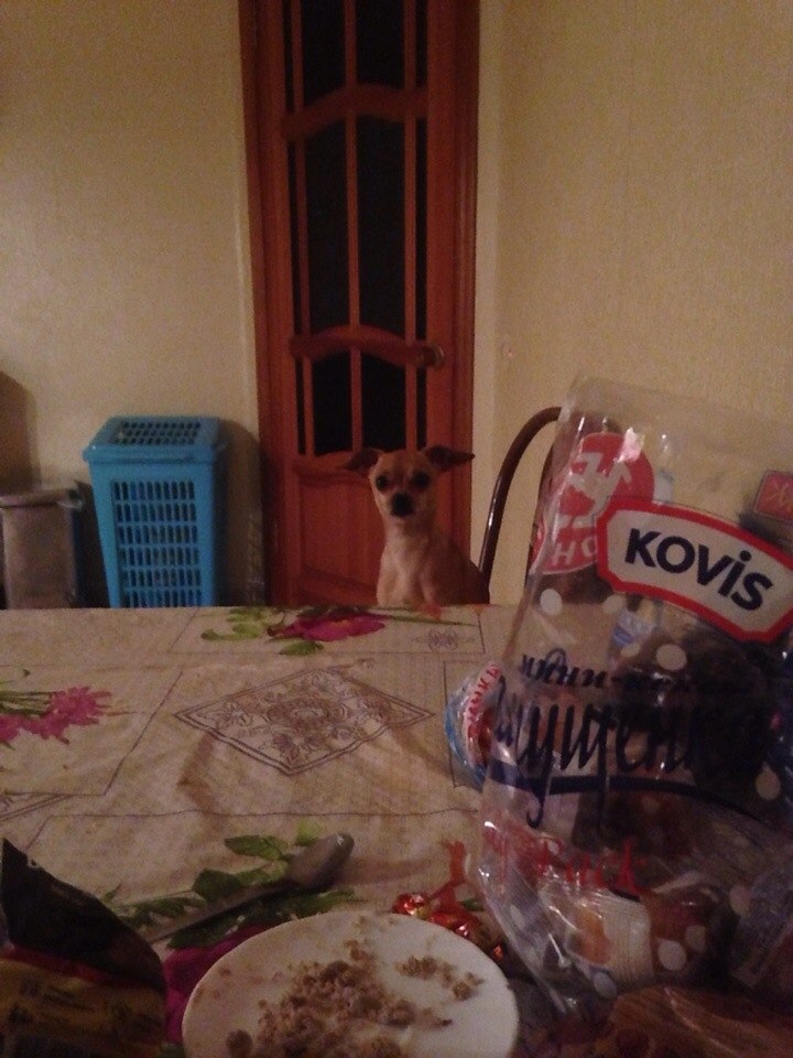 Леонид Полюдов | Санкт-Петербург