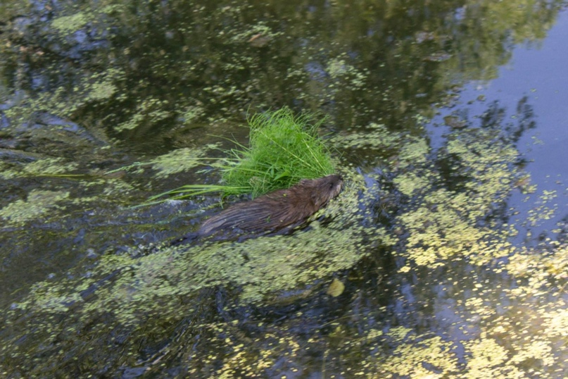 Алина Дёмина | Самара