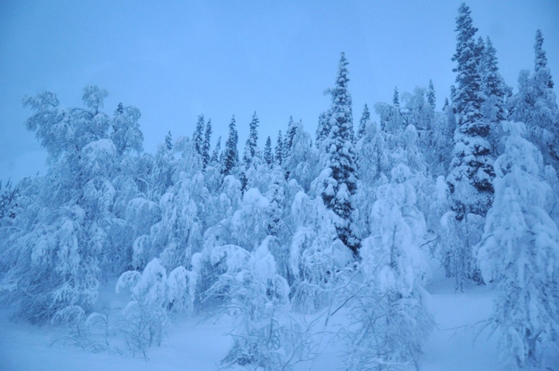 Оксана Володина | Калининград