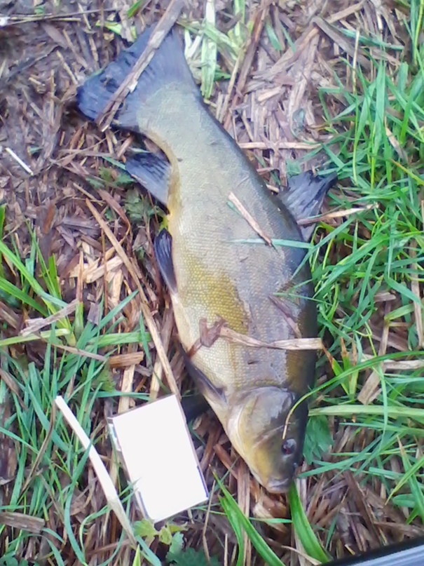 Андрей Шитов Сергеевич | Киров