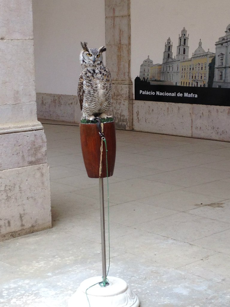 Ольга Мироненко | Москва