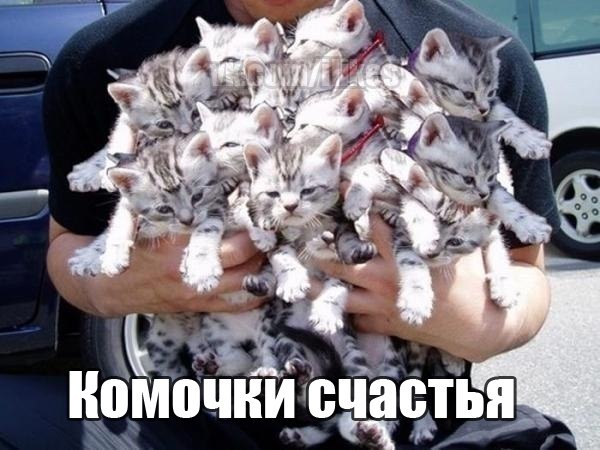 Дмитрий Городилов | Пермь