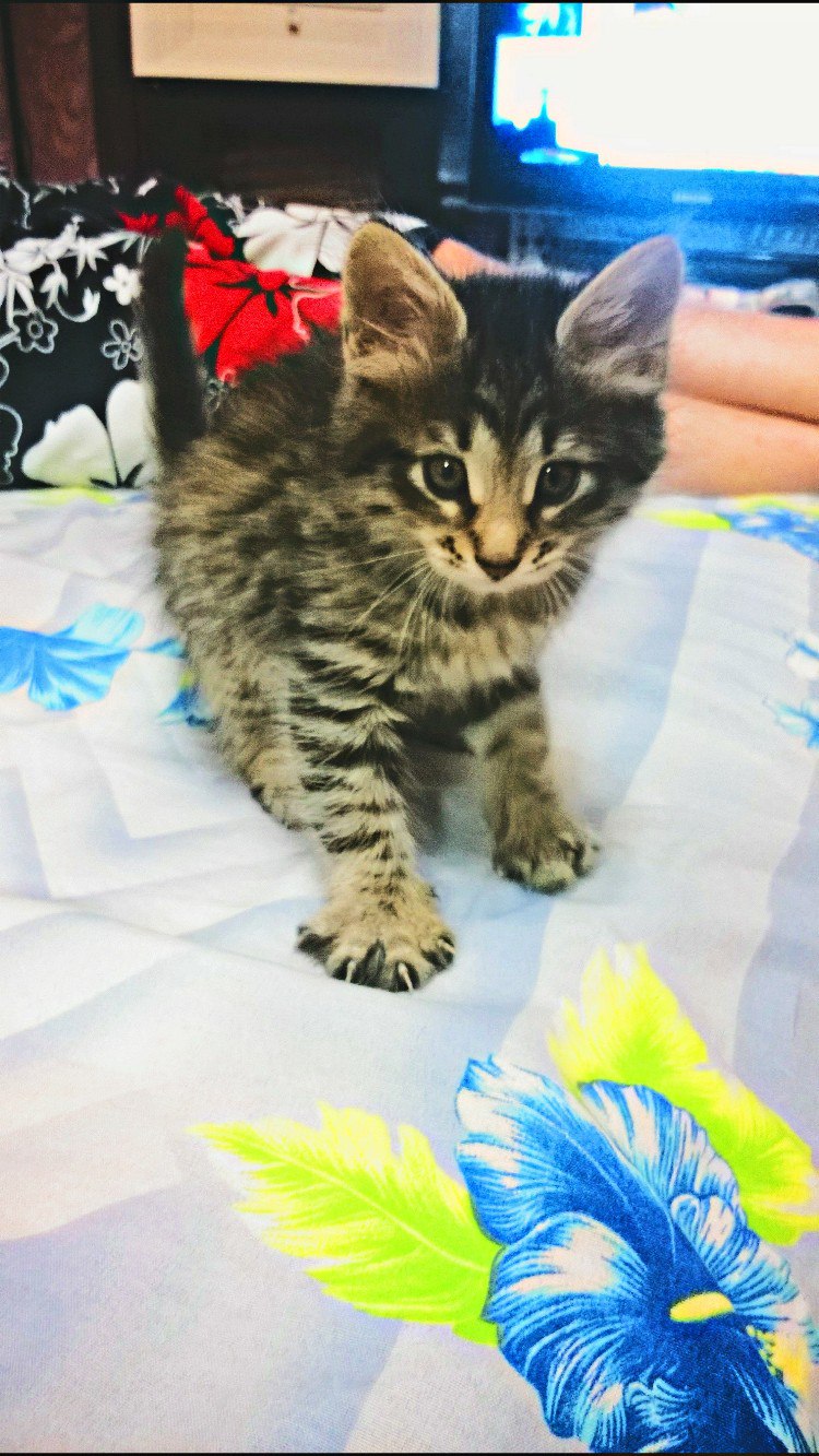 Катерина Чернова | Кострома