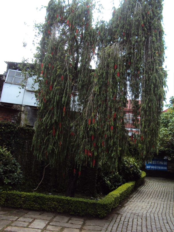 Наталья Шилова | Пермь