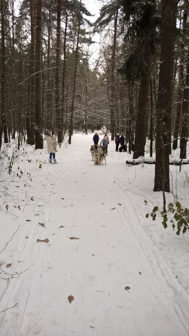 Олег Орешкин | Орехово-Зуево