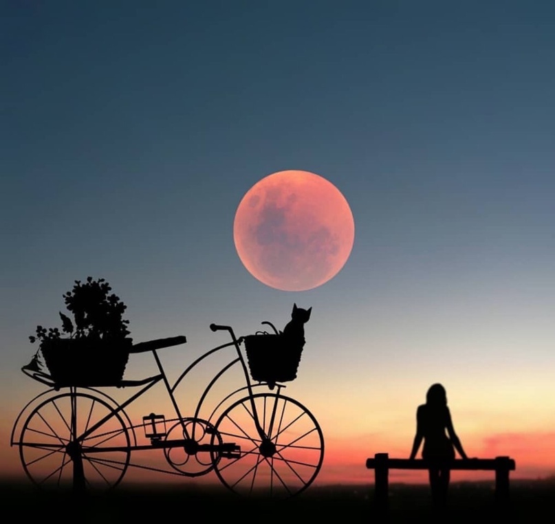 Ирина Матвеева | Новодвинск