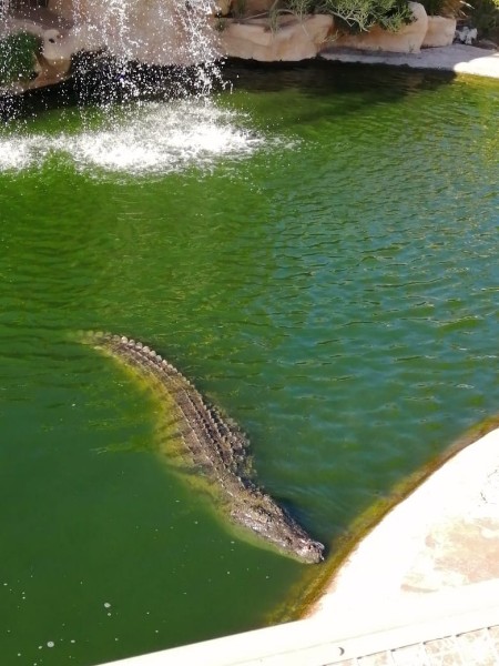 Ирина Филиппова | Сланцы