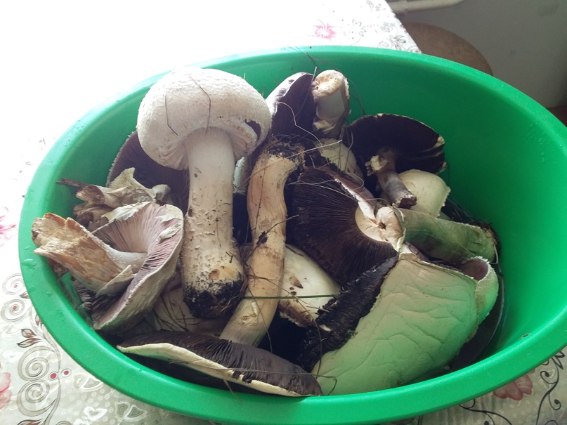 Алла Зарипова валентиновна | Уфа