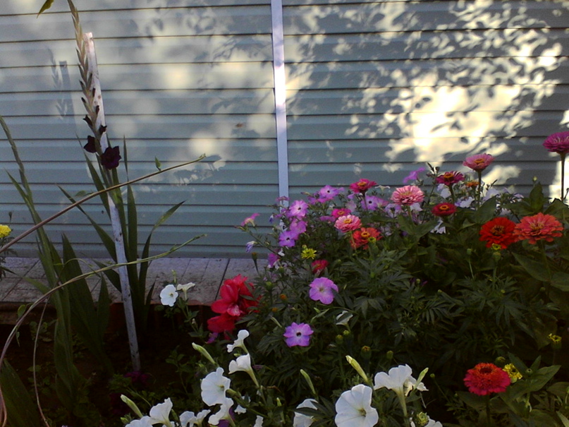 Ирина Кобзева | Рязань