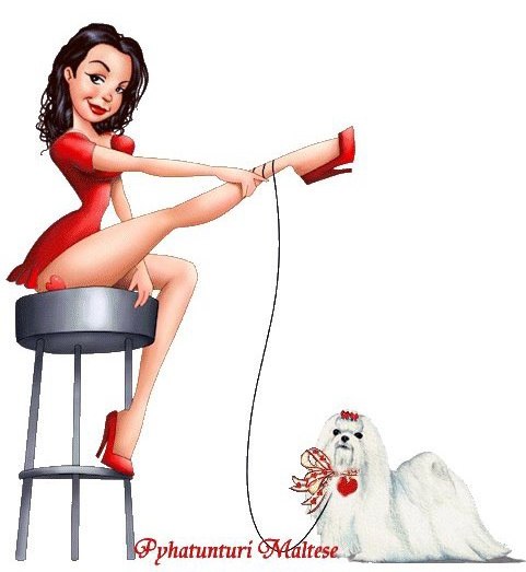 Ольга Гапонова | Новосибирск