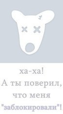 Дмитрий Ермохин Евгеневич! | Чаны