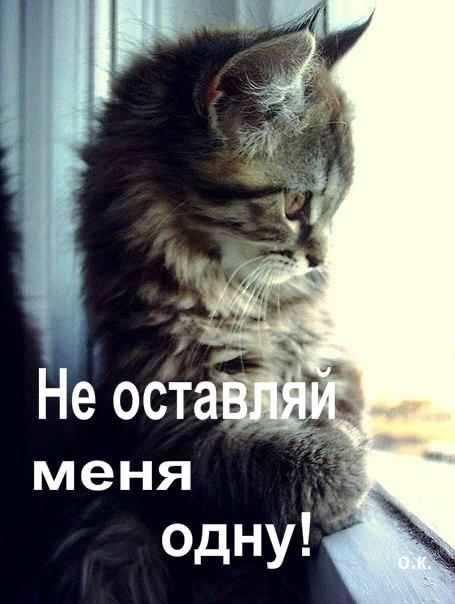 Надежда Нестерова | Санкт-Петербург