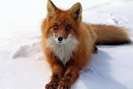 Александра Сажина | Тверь