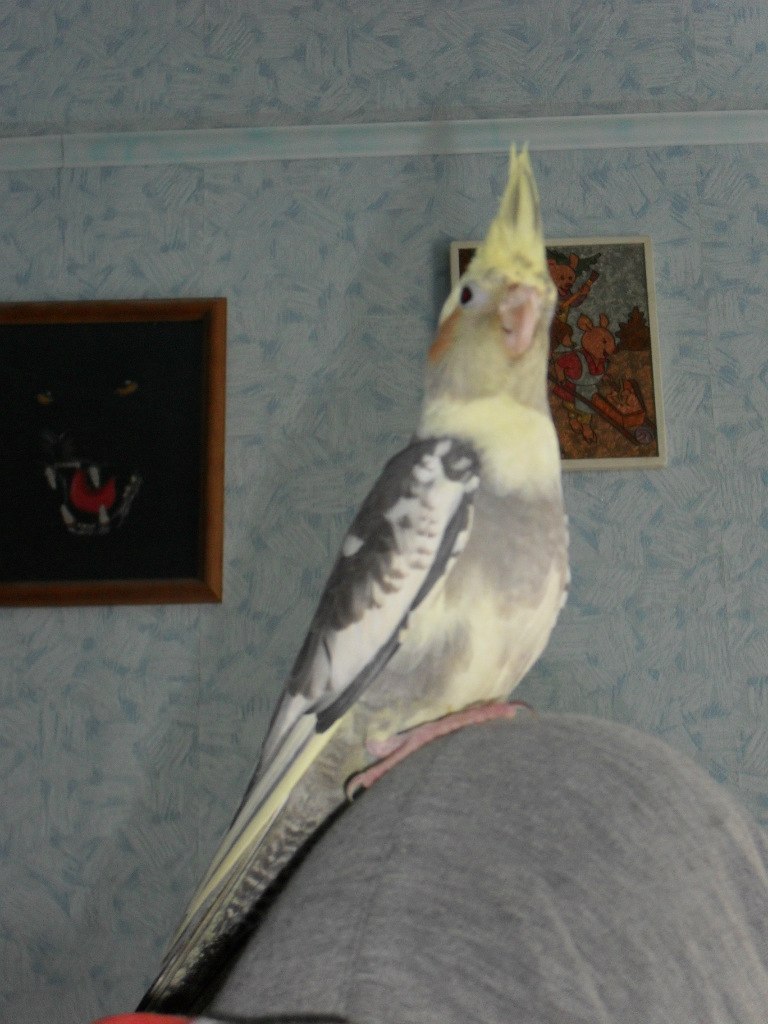 Ирина Овчинникова | Железногорск