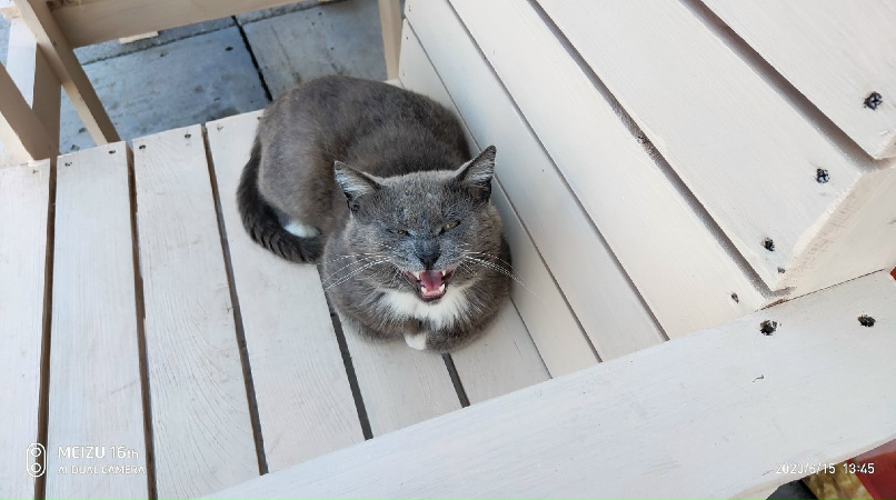 Дмитрий Некрасов | Санкт-Петербург