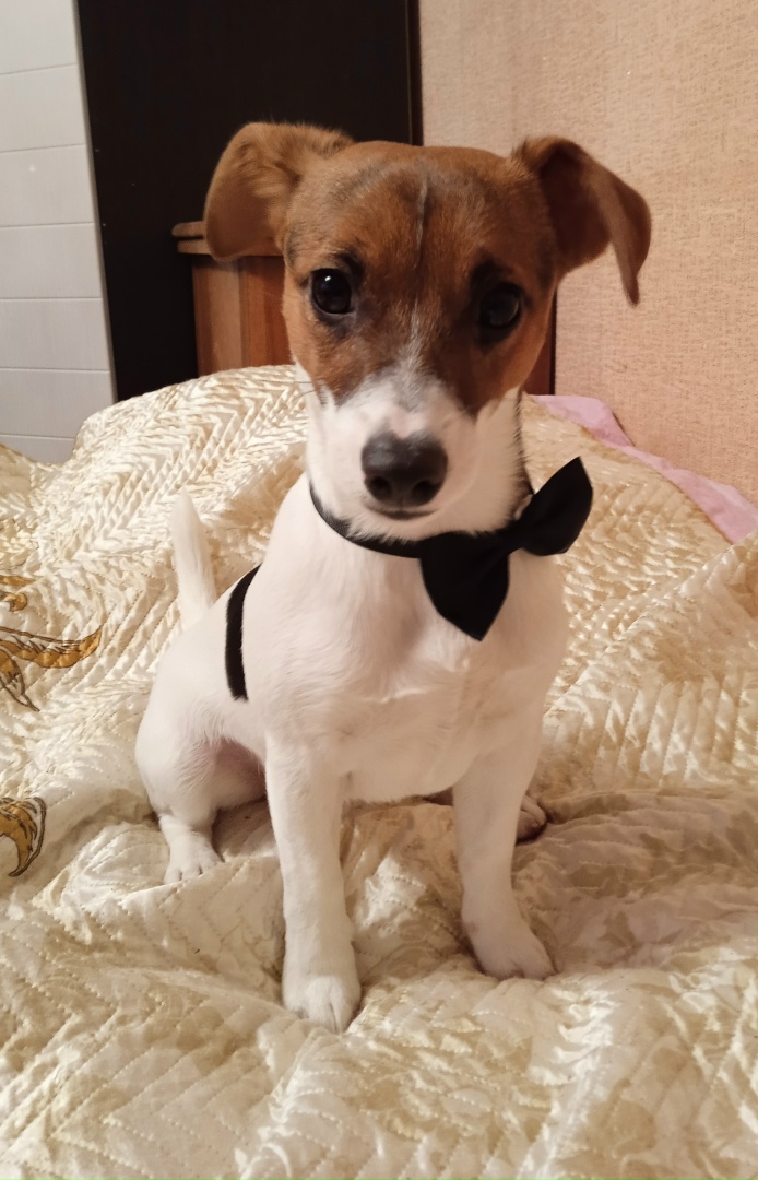 Алексей Пашкевич | Москва