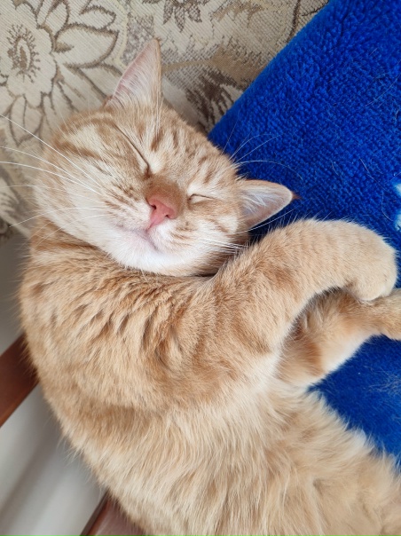 Спокойной ночки, сладкие носики 🌙🌙🌙