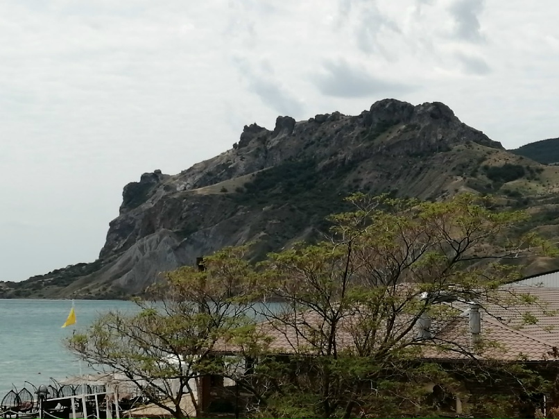 Елена Чеснокова | Санкт-Петербург