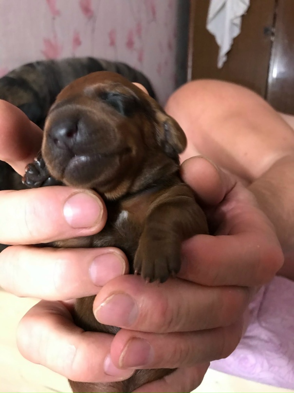 Елена Тюленева | Великий Новгород