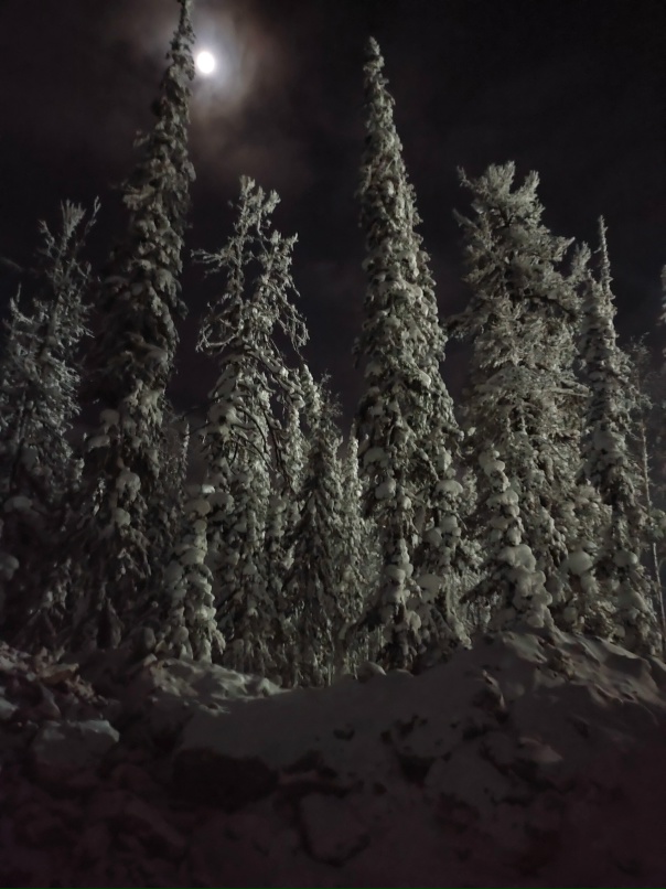 Максим Болотов | Лабинск