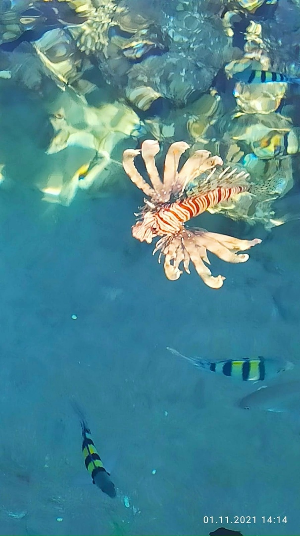 Марина Пахомова | Санкт-Петербург