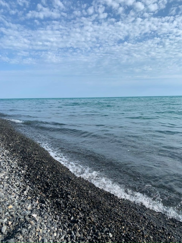 Евгений Волгин | Алматы