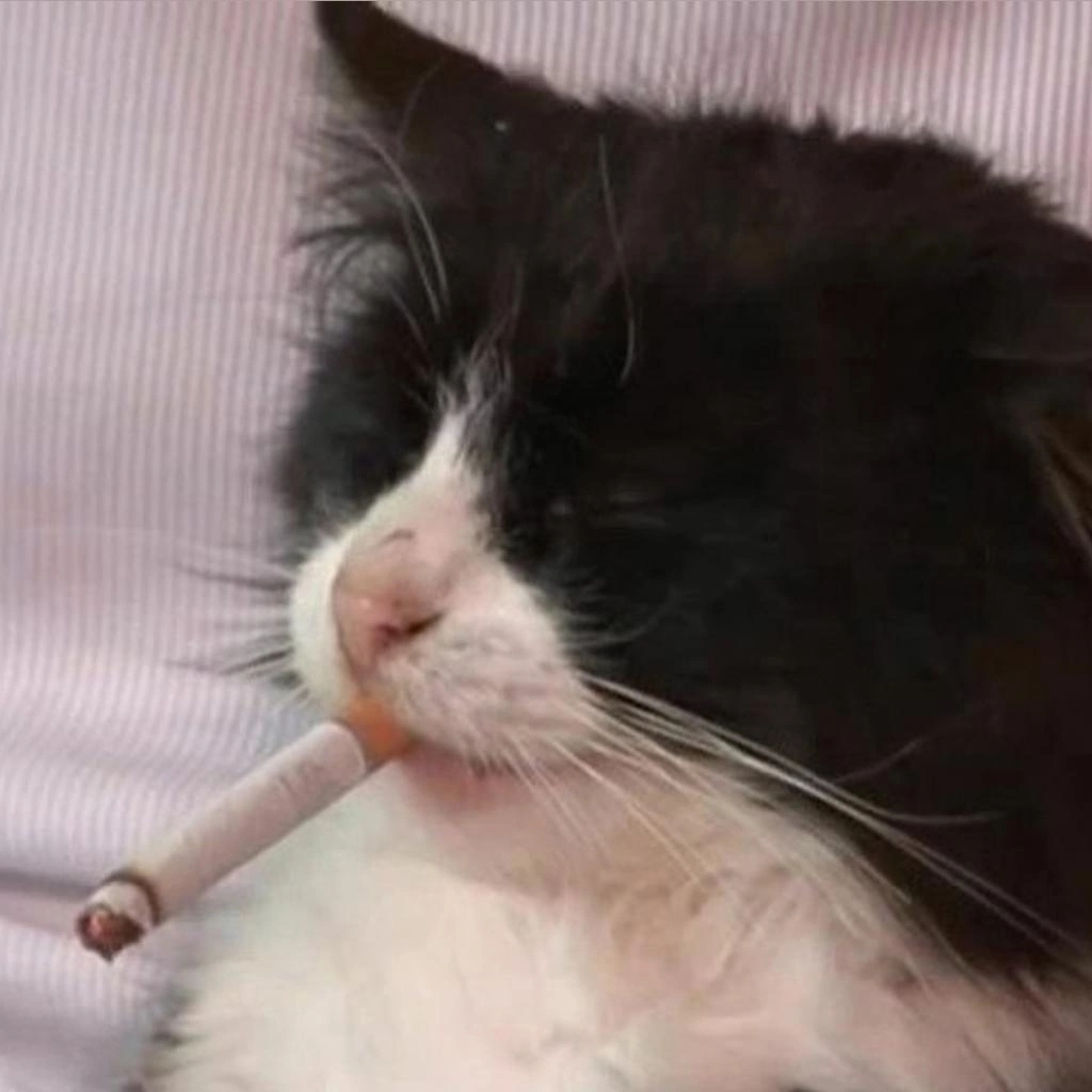 Котик с сигаретой из ну погоди