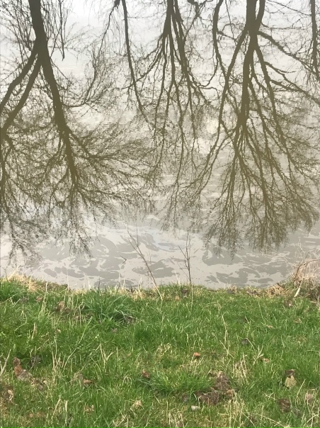 Что стало с «Амазонкой»!? Анонимно