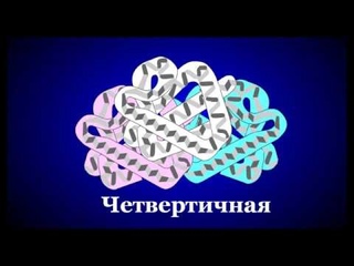 Структура белков