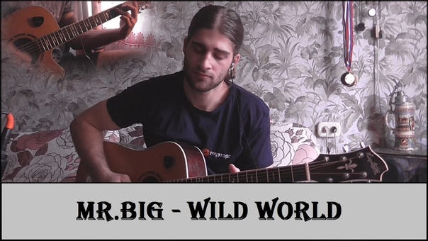 Mr. Big ( Cat Stevens) Wild World (acoustic guitar