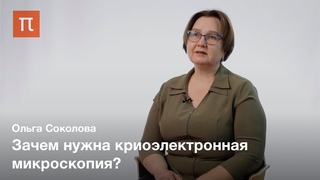Структурная биология — Ольга Соколова