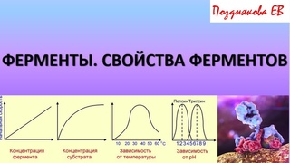 ФЕРМЕНТЫ. ОБЩАЯ БИОХИМИЯ. ЛЕКЦИЯ 2, часть 1