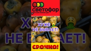 СВЕТОФОР ОФИГЕЛЯ В УЖАСЕ! МЫ ЖЕ ЛЮДИ, А НЕ СВИНЬИ! СРОЧНО СМОТРЕТЬ #новости #музыка #продукты #bts