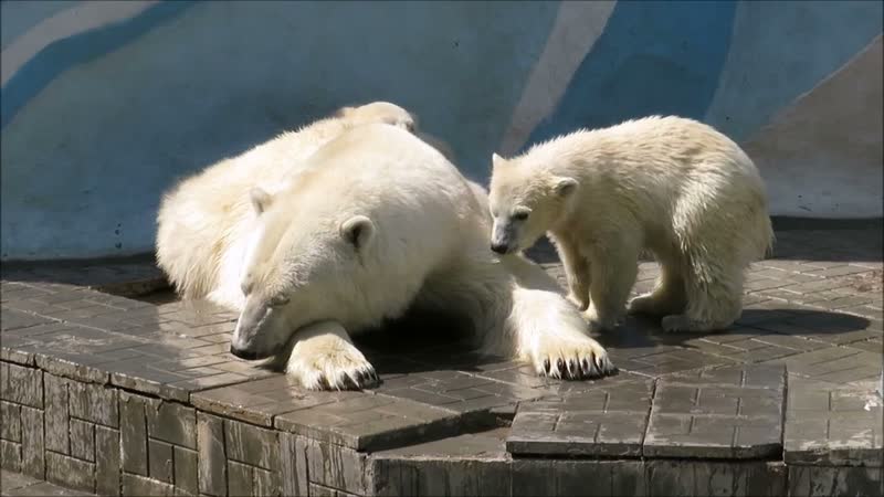 Мамочка мне надо немного