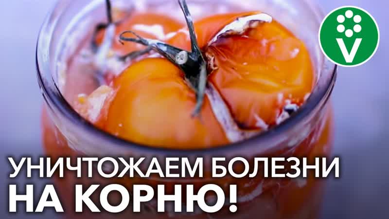СЕКРЕТНЫЙ ИНГРЕДИЕНТ при заготовке своих