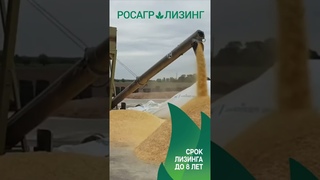 Плющилки зерна Romill по акции Раннее бронирование от РосАгроЛизинга #shorts #зернодробилка